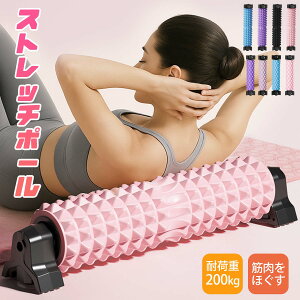 ؖ[XzՎ _u][gK[|Cg tH[[[ _炩ƒe͐ ȂŒX^h ǂɋz\ SҌ OpX^h^ hϋv Kx ӂ͂ 