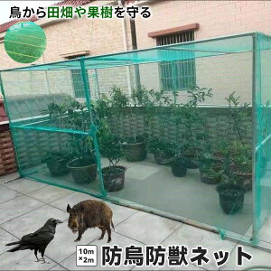 悯lbg؉^ hblbg ʎlbg y ȒPt CQ WȂ AیJo[ ƒ _ K[fjO LEh~    WȂ Aی