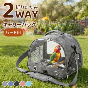 L[obO ~܂ؕt | |[^u o[h UP[W g[t s ʋC  P[W ZLZCCR CR   nX^[  y ܂肽 bV