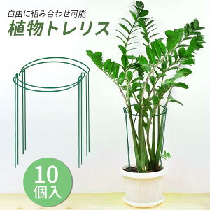 10{Zbg |x   x Ax ~` |px K[fjOpx S |pi Aؔp A ϗtA ƒ؉ AT|[g K[fjO t[ E\ ϗtx