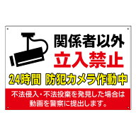 【関係者以外 立入禁止 防犯カメラ作動中 不法侵入 不法投棄禁止 立ち入り禁止 防犯 24時間 看板】禁止看…