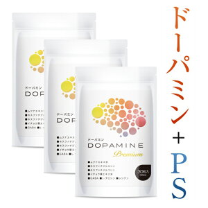 ドーパミン Premium ムクナ豆 サプリメント ホスファチジルセリン ホスファチジルコリン イチョウ葉エキス L-チロシン GABA レシチン 30日分 L-ドーパ 40% PS 冴え 集中力 記憶 やる気 意欲 3袋セッ