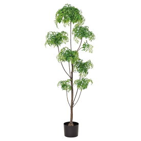 51A) グリ－ン アラリア 造花 フェイクグリーン 人工観葉植物[ACAA-50908051A]|人工観葉植物 造花 グリ－ン アラリア【花・ガーデニング用品・ディスプレイ・イベント用品・飾り・トロピカルツリー 】