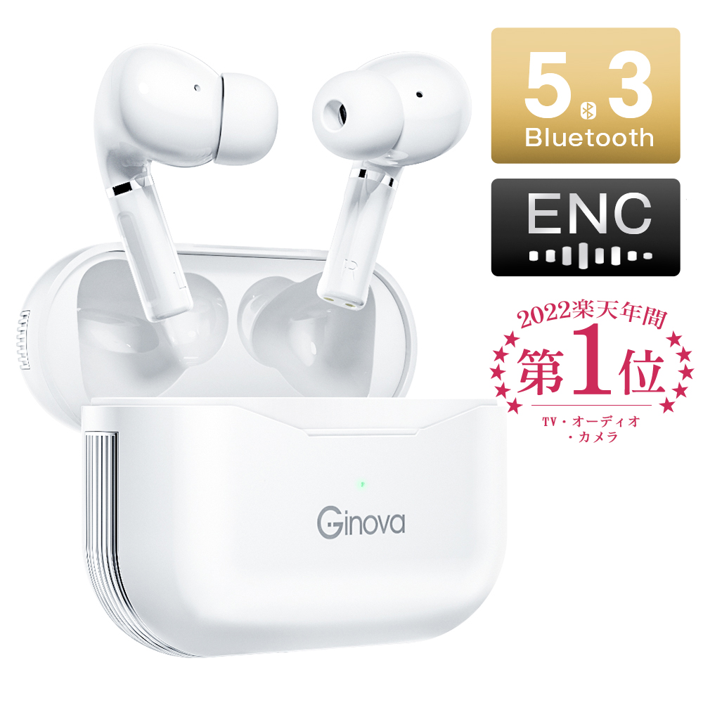 Ginova Bluetooth イヤホン ワイヤレスイヤホン 両耳 左右分離型