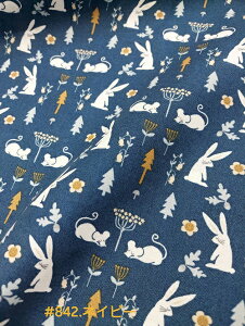 STOFkvgBRockyV[`Of/pb`[Nn/An/