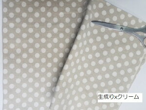 vg/50cmP/45EVFǉII₵fނłBʃvg͂ȂłgłˁB|Epb`[NEEobNEEȂǂȂ