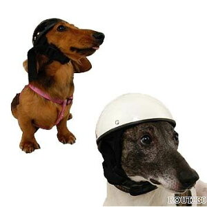 犬用ペット服 ヘルメットの通販 価格比較 価格 Com
