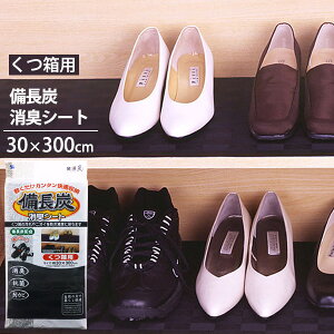 Y LV|g p b ʔV[g C V[g  ~