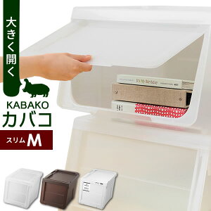 [P[X PROfix JoR m XM b ߑP[X [{bNX vtBbNX KABAKO ςݏd t^t ᔠ OJ d˂ X^bLO