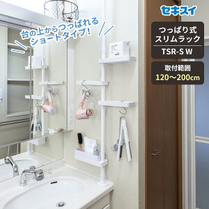 ZLXC ς莮XbN zCg TSR-SW b h[bN bN ς_ ˂莮 Ǎ [ @ [ ʏ ȒP  Lb` JE^[