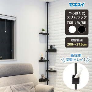 ZLXC ς莮XbN b h[bN bN ς_ ˂莮  [ @ [ ʏ ȒP  rO  