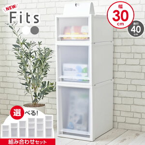 [P[X Fits tBbcP[X FC40 30cmgݍ킹Zbg zCgNA/O[ b vX`bN ߑP[X o  [ N[[bg tBbc s 