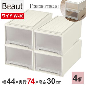 収納ケース ビュートケース 幅44×奥行74×高さ23cm / 高さ30cm カプチーノ ワイド W-23 / W-30 | 押入れ収納 収納ボックス 押し入れ 引き出し ケース 衣装 衣類 服 入れ プラスチック プラケース 整