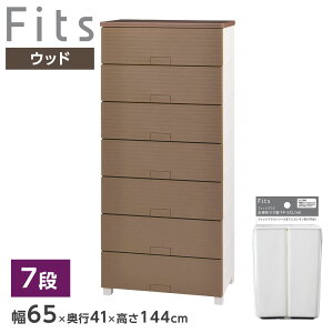 �ߗރP�[�X Fits �t�B�b�c�`�F�X�g �E�b�h ��65cm 4�i/5�i/7�i �L���X�^�[�E�����O�r�t���I�ׂ� �b �V�n �m�� ���[ �^���X ���[�P�[�X �ߗގ��[ �m���_���X �ߑ��P�[�X �����o�� �m���\�y �v���X