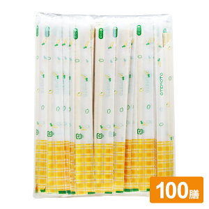 蔢 AXy |  100V b  ͂  ĝ ΂  \ 