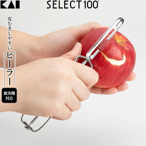 L SELECT100 I^ s[[ DH-3001 b 甍 ނ  ʕ  Ⴊ ڂ  t  H@Ή  Lb`pi