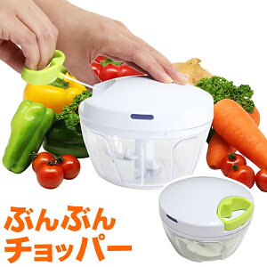 ݂؂ ԂԂ`bp[ BBC-01 b 蓮 t[hvZbT[ t[h`bp[ dsv H Lq ȒP