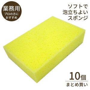 X|W Lb` ƖpPRO \tgX|W 10Zbg KG-001 b Hp iCX|W H g ܓ Ɩp ܂Ƃߔ