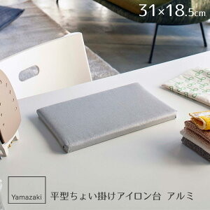R AC ^傢|AC A~ 4991 b ^ AC Ȃ 31×18.5cm  ~j RpNg ȃXy[X   l[t AbvP 