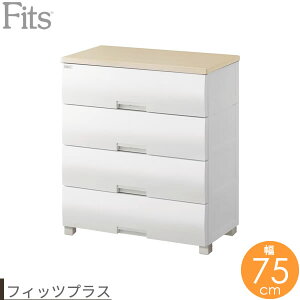 ߗރP[X Fits tBbcvX (r^Cv) 75×s41×85cm [v F7504 b m [ ^X [P[X ߗގ[ m_X ߑP[X o m\y