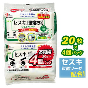 | V[g ZXĽ EFbgV[g Lb`p 20×4pbN SS-291 b 䏊 |  ZXLY_\[_ AJd Lb` dqW R܂ ①