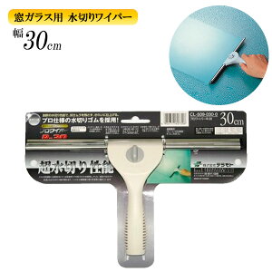 ؂胏Cp[  vCp[ R-30 30cm CL5090300 b XNCW[ @  XNC[W[ | XL[W[ nhCp[ ؂S IƂ ԑ  nfB Jrh~