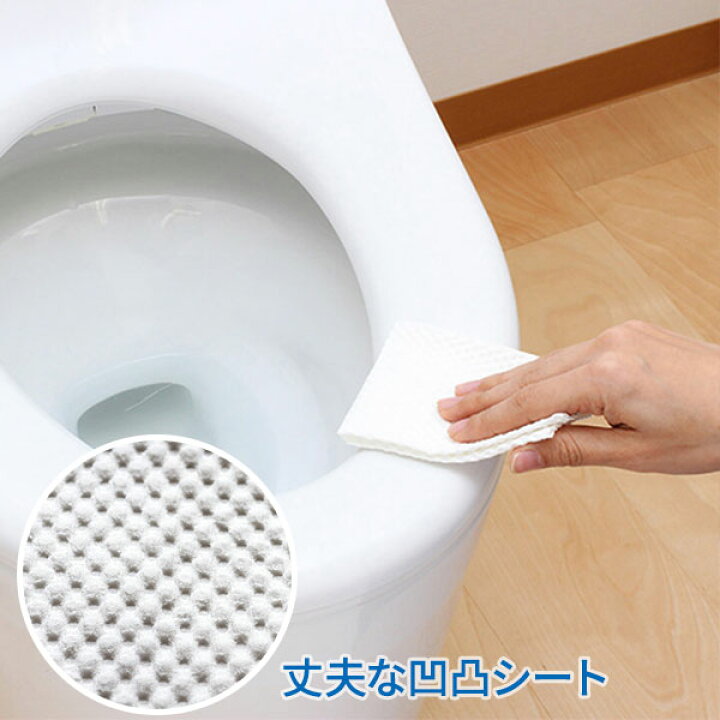 トイレ 掃除 シート 激落ちくん 流せる 除菌 トイレクリーナー 24枚入 10セット 詰め替え 使い捨て まとめ買い 激安アウトレット