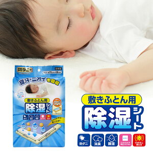 h_j ~ӂƂp V[g JS-002 b zc C _jh~