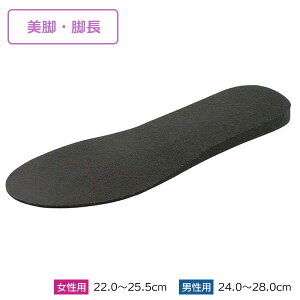 C\[ tbVC\[ rjp/rp b ~ gAbv g   r  V[Nbg   fB[X Y C