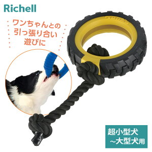 b`F p   gJ ^C[v 15i b ߋ  ^t ɂ ł ybg 荇 ^ g[jO R~jP[V  j V ^ ^