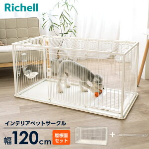 b`F CeAybgT[N 120-60 zCg/ubN b ybg  T[N g[t 120cm  ^ ^ gݗ  XChhA X`[ _  