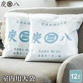 炭八 室内用 大袋 12L ｜ すみはち 除湿 炭 湿気 消臭 カビ対策 押入れ クローゼット 部屋 寝室 玄関 靴箱 湿気取りにおい対策 カビ 臭い 予防 脱臭 長持ち 梅雨 出雲屋 出雲カーボン