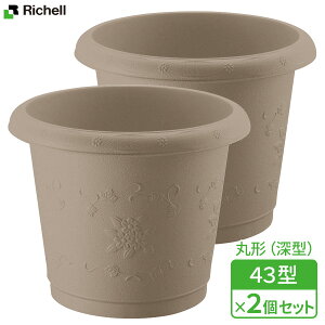 寄せ植え 鉢 玄関の通販 価格比較 価格 Com