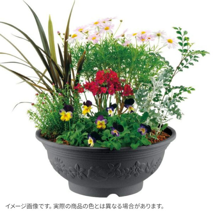 楽天市場 リッチェル ハナール ボール 30型 プランター おしゃれ 浅型 丸型 ボウル 鉢 植木鉢 ポット 日本製 寄せ植え 花苗 園芸鉢 ガーデニング エクステリア 玄関 アプローチ エントランス 鉢植え オンラインショップ びーんず