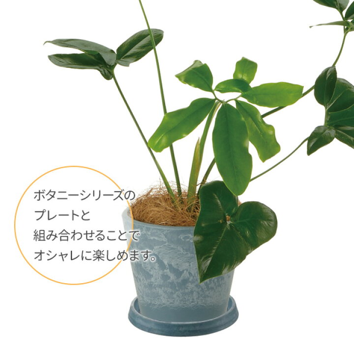 在庫あり 即出荷可 リッチェル ボタニー プレート 15型 グリーン Gr 受け皿 丸 プランタープレート おしゃれ プランター 園芸鉢 ガーデニング Riosmauricio Com 在庫あり 即出荷可 リッチェル ボタニー プレート 15型 グリーン Gr 受け皿 丸 プランタープレート おしゃれ プランター 園芸鉢 ガーデニング Riosmauricio Com