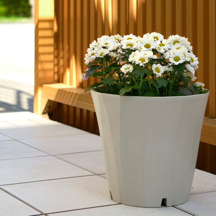 楽天市場 リッチェル シュタイン ポット 25型 鉢 植木鉢 ポット プランター 丸型 中型 おしゃれ 日本製 園芸鉢 ガーデニング ダイヤモンドカット プラスチック 観葉植物 グリーン 通気性 排水性 クール オンラインショップ びーんず