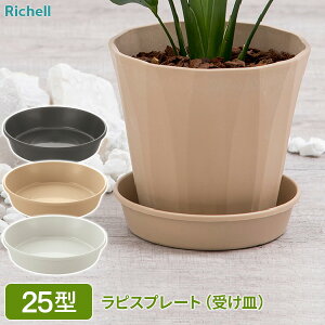 b`F sX v[g 25^ IׂJ[ b M 󂯎M  v[g u v^[v[g  | K[fjO Xg[ u 8 ϗtA ɂ A