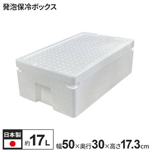 A X` A{bNX 17L  SC-14N b AX`[ ۗ y N[[{bNX N[BOX  ۑ 120TCY  ΍ AEghA ނ  Lv H Ղ X