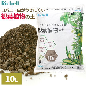 b`F |{y ŇbR ϗtA̓y 10L b A | y  | K[fjO ͔| 킫ɂ py