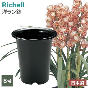 b`F m 8 ubN 072883 b Aؔ v^[ [ ~` vX`bN m Ӓ  Aւ | K[fjO ϗtA