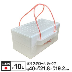 A X` X`[BOXi2j 10L  PB-3 b AX`[ ۗ y  N[[{bNX N[BOX  ۑ 100TCY  ΍ AEghA ނ  ^