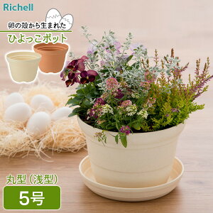 b`F Ђ |bg 5 uE / x[W b  Aؔ |bg v^[  ^ | Hi̍ėp K[fjO ̊k̍ėp ϗtA ɂ A v[g5