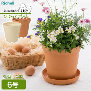 b`F Ђ nC|bg 6 uE / x[W b  Aؔ |bg v^[  [^  | Hi̍ėp K[fjO ̊k̍ėp ϗtA ɂ A