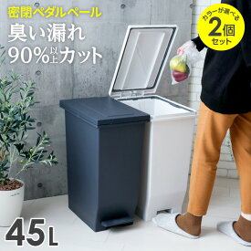 ゴミ箱 エバン 密閉ペダルペール 45L 2個セット ホワイト / ブラック ｜ ダストボックス ペダル 防臭 ごみ箱 45リットル 臭わない 分別 おしゃれ シンプル キッチン おむつ