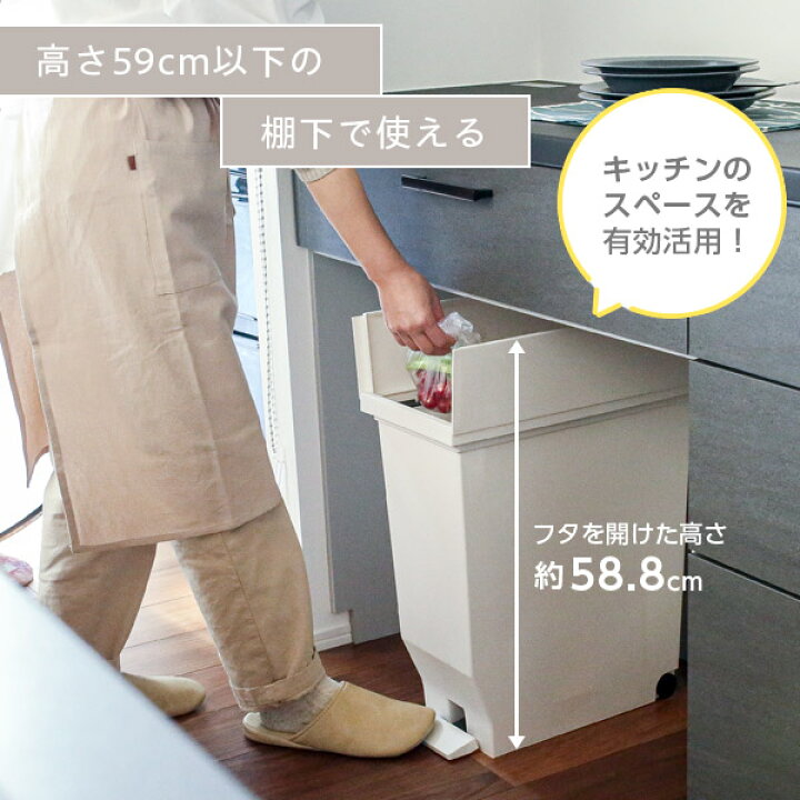 楽天市場】ゴミ箱 エバン 両開きペダルペール 30L 2個セット ブラック 