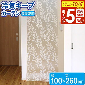 y{20`Si|Cg5{zCL[vJ[e M[ 100×260cm SX-080 b ΍ GAR C Ȃ g[ UP ė ~g  ~ p fM Ԏd؂ J[e ȃGl