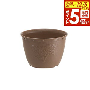 y12/5 Si|Cg5{zAؔ rIfR 6 `RuE b  |bg v^[ vX`bN