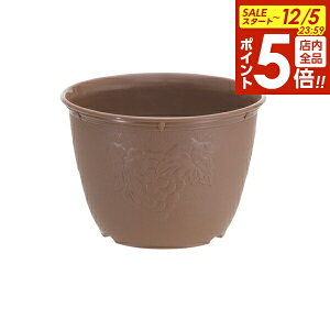 y12/5 Si|Cg5{zAؔ rIfR 8 `RuE b v^[ vX`bN y