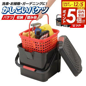 y12/5 Si|Cg5{zCm}^w oPc 2Zbg 17L 3216 b oPc  ݑ t^ ΂ JS { Xebv  |pi Xc[ p^ 