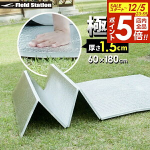 y12/5 Si|Cg5{zW[V[g A~ ܂肽ݎ Ɍ W[}bg 60×180×1.5cm U-P968 b  }bg ܂肽 NbV W[V[g ~ sNjbN L